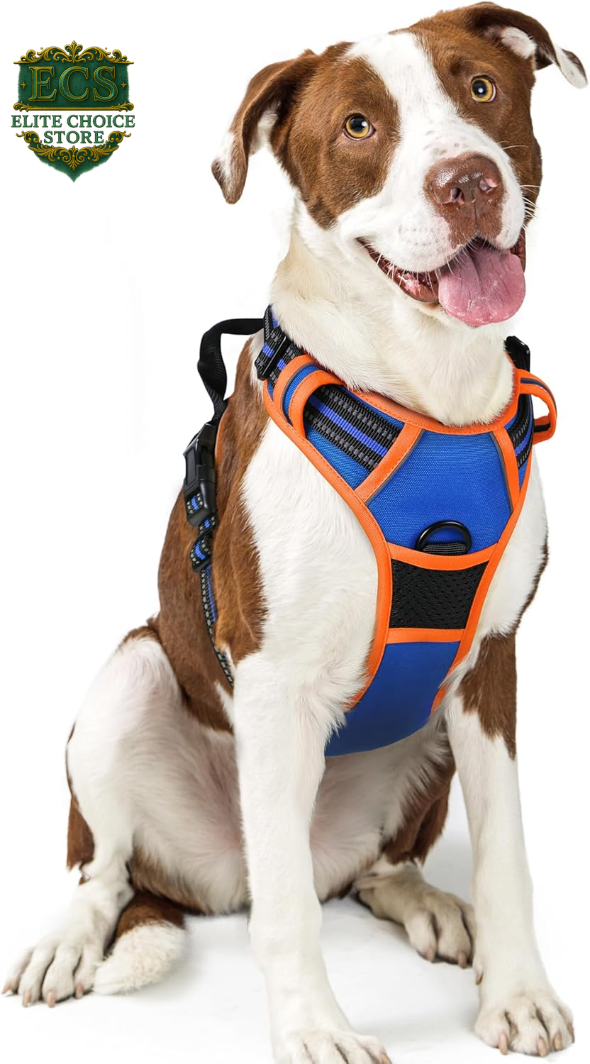 Rabbitgoo Dog Harness No Pull with 2 Leash Clips, Adjustable Soft Padded, Reflective Oxford No Choke Pet Vest with Easy Control Handle for Large Dogs, Black, L