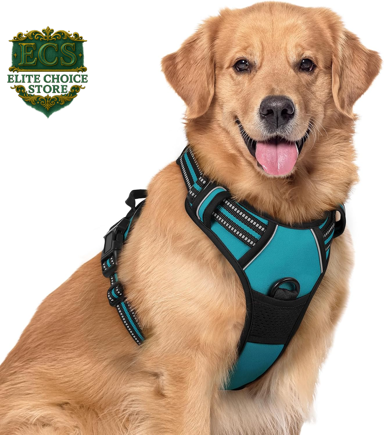 Rabbitgoo Dog Harness No Pull with 2 Leash Clips, Adjustable Soft Padded, Reflective Oxford No Choke Pet Vest with Easy Control Handle for Large Dogs, Black, L