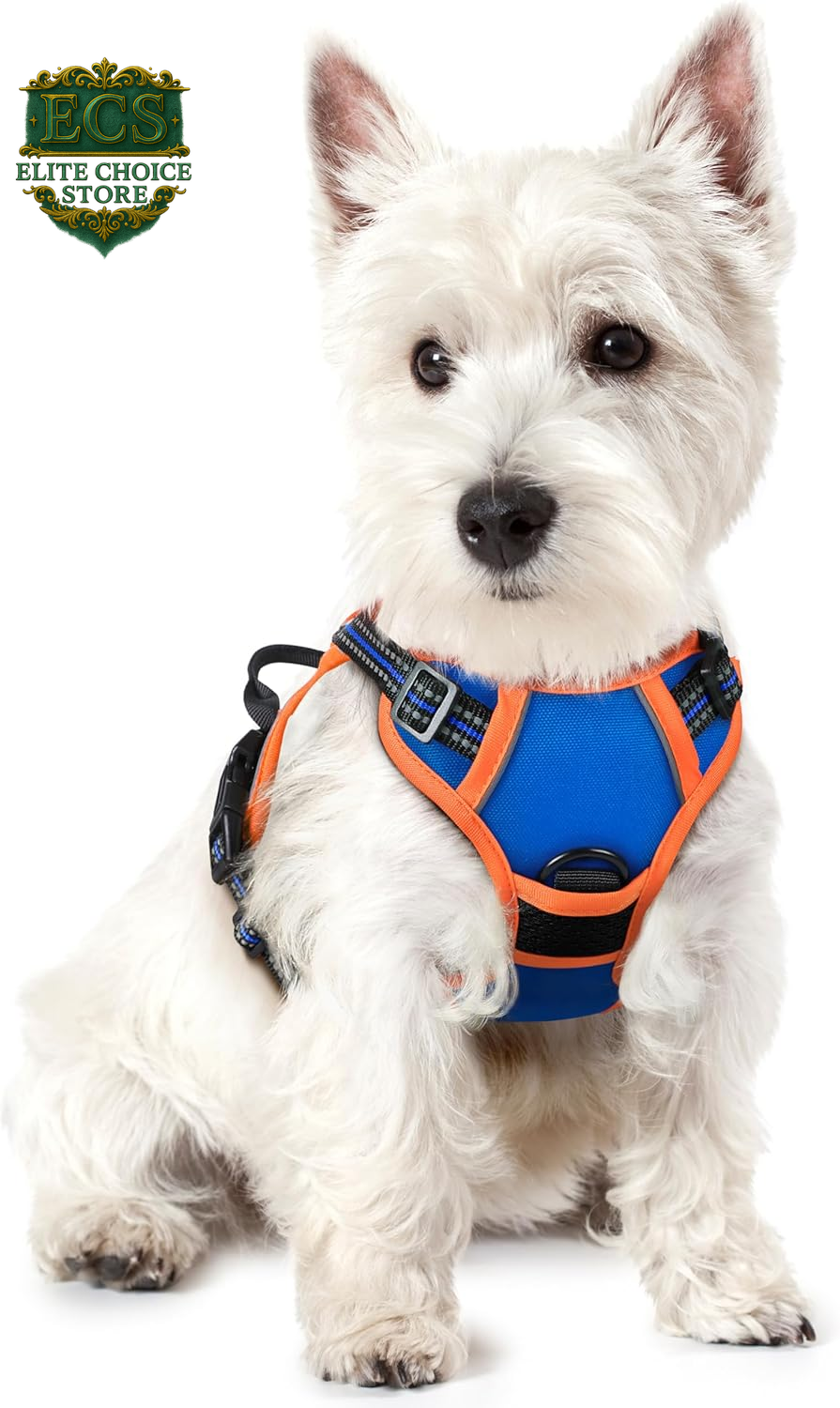 Rabbitgoo Dog Harness No Pull with 2 Leash Clips, Adjustable Soft Padded, Reflective Oxford No Choke Pet Vest with Easy Control Handle for Large Dogs, Black, L