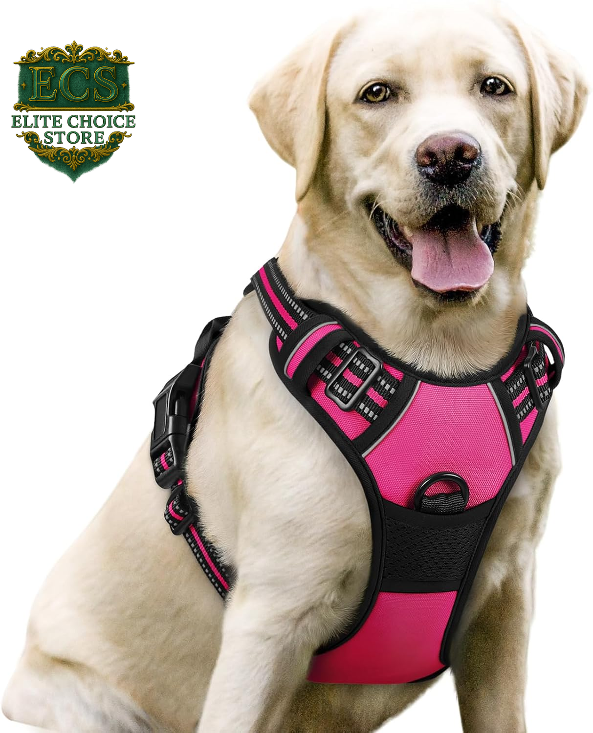 Rabbitgoo Dog Harness No Pull with 2 Leash Clips, Adjustable Soft Padded, Reflective Oxford No Choke Pet Vest with Easy Control Handle for Large Dogs, Black, L