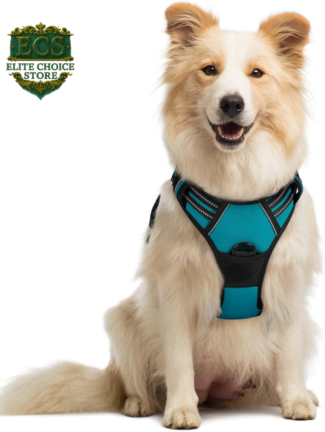 Rabbitgoo Dog Harness No Pull with 2 Leash Clips, Adjustable Soft Padded, Reflective Oxford No Choke Pet Vest with Easy Control Handle for Large Dogs, Black, L