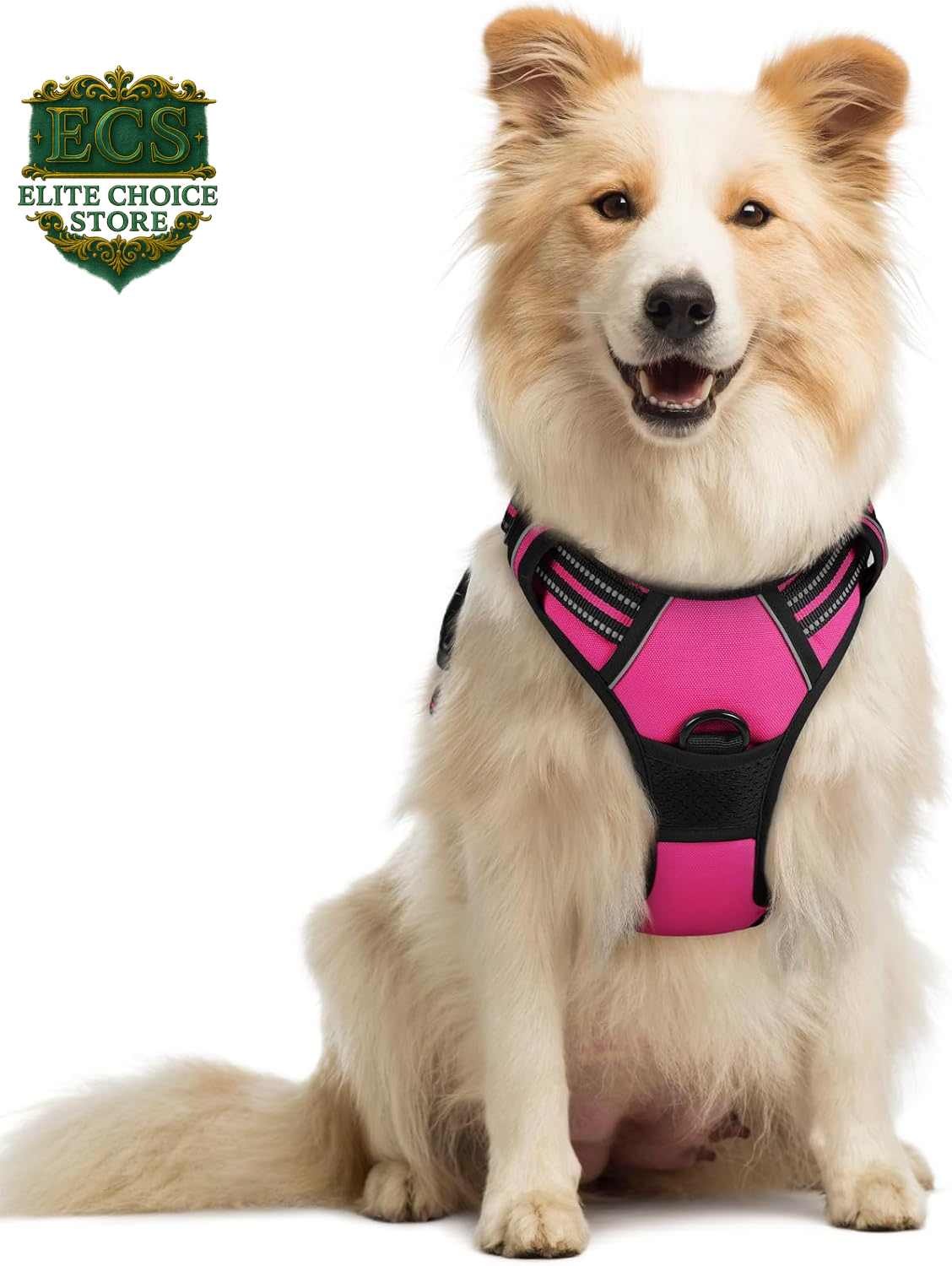 Rabbitgoo Dog Harness No Pull with 2 Leash Clips, Adjustable Soft Padded, Reflective Oxford No Choke Pet Vest with Easy Control Handle for Large Dogs, Black, L