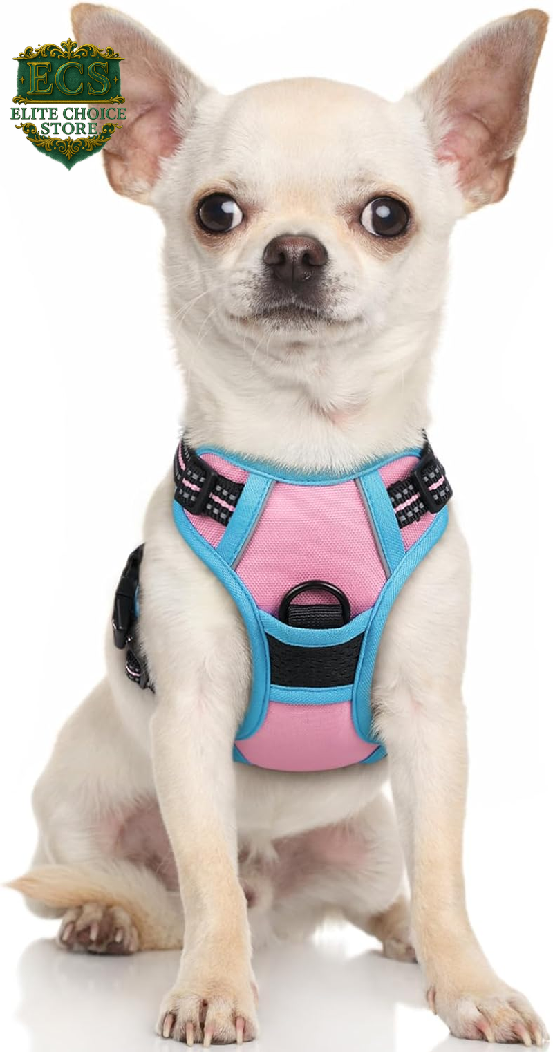 Rabbitgoo Dog Harness No Pull with 2 Leash Clips, Adjustable Soft Padded, Reflective Oxford No Choke Pet Vest with Easy Control Handle for Large Dogs, Black, L