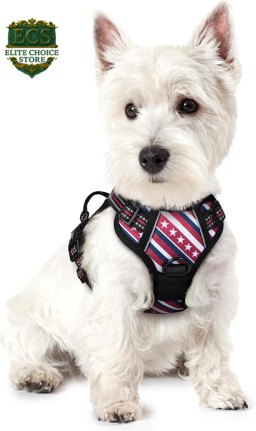 Rabbitgoo Dog Harness No Pull with 2 Leash Clips, Adjustable Soft Padded, Reflective Oxford No Choke Pet Vest with Easy Control Handle for Large Dogs, Black, L