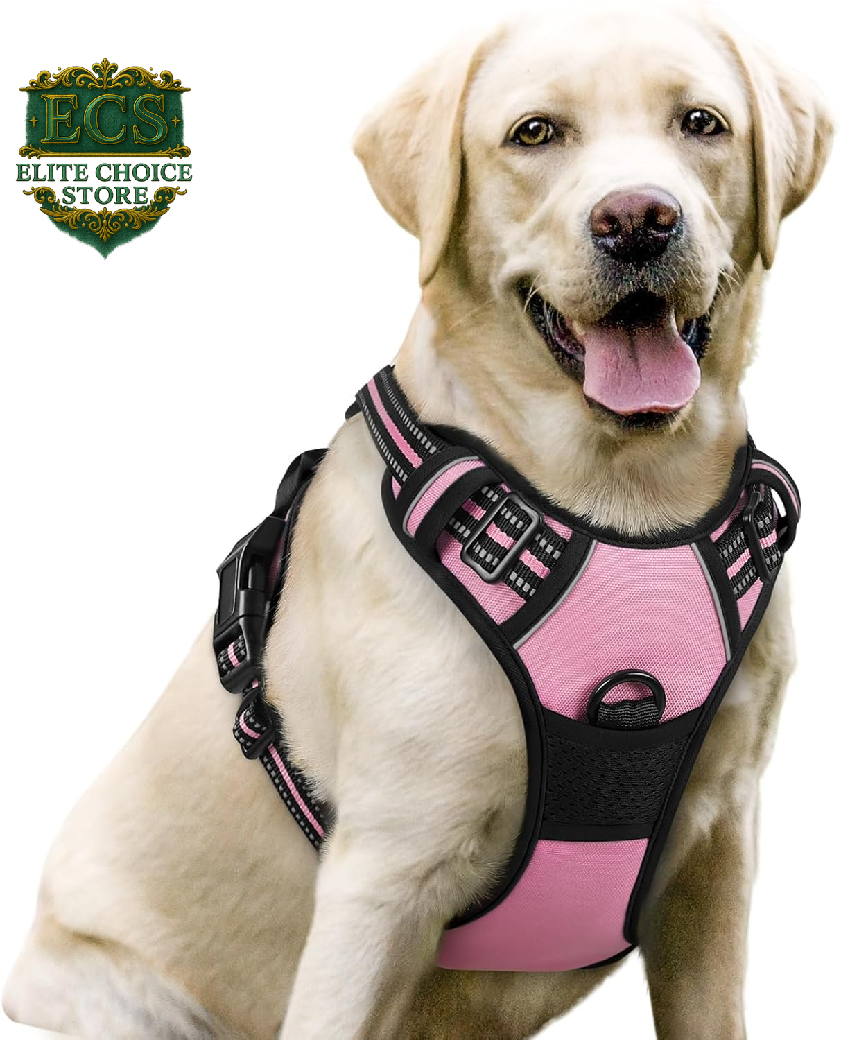 Rabbitgoo Dog Harness No Pull with 2 Leash Clips, Adjustable Soft Padded, Reflective Oxford No Choke Pet Vest with Easy Control Handle for Large Dogs, Black, L