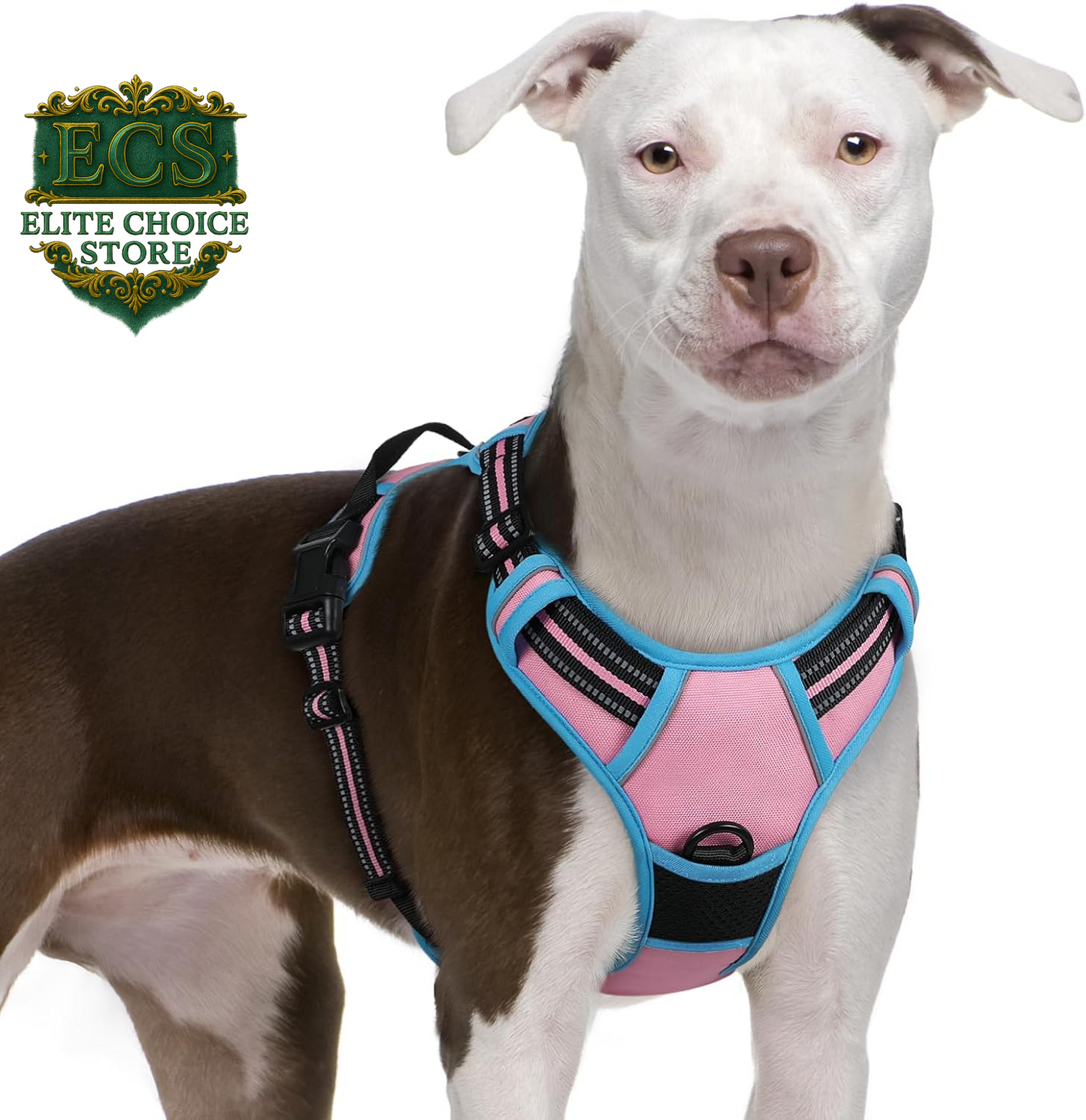 Rabbitgoo Dog Harness No Pull with 2 Leash Clips, Adjustable Soft Padded, Reflective Oxford No Choke Pet Vest with Easy Control Handle for Large Dogs, Black, L