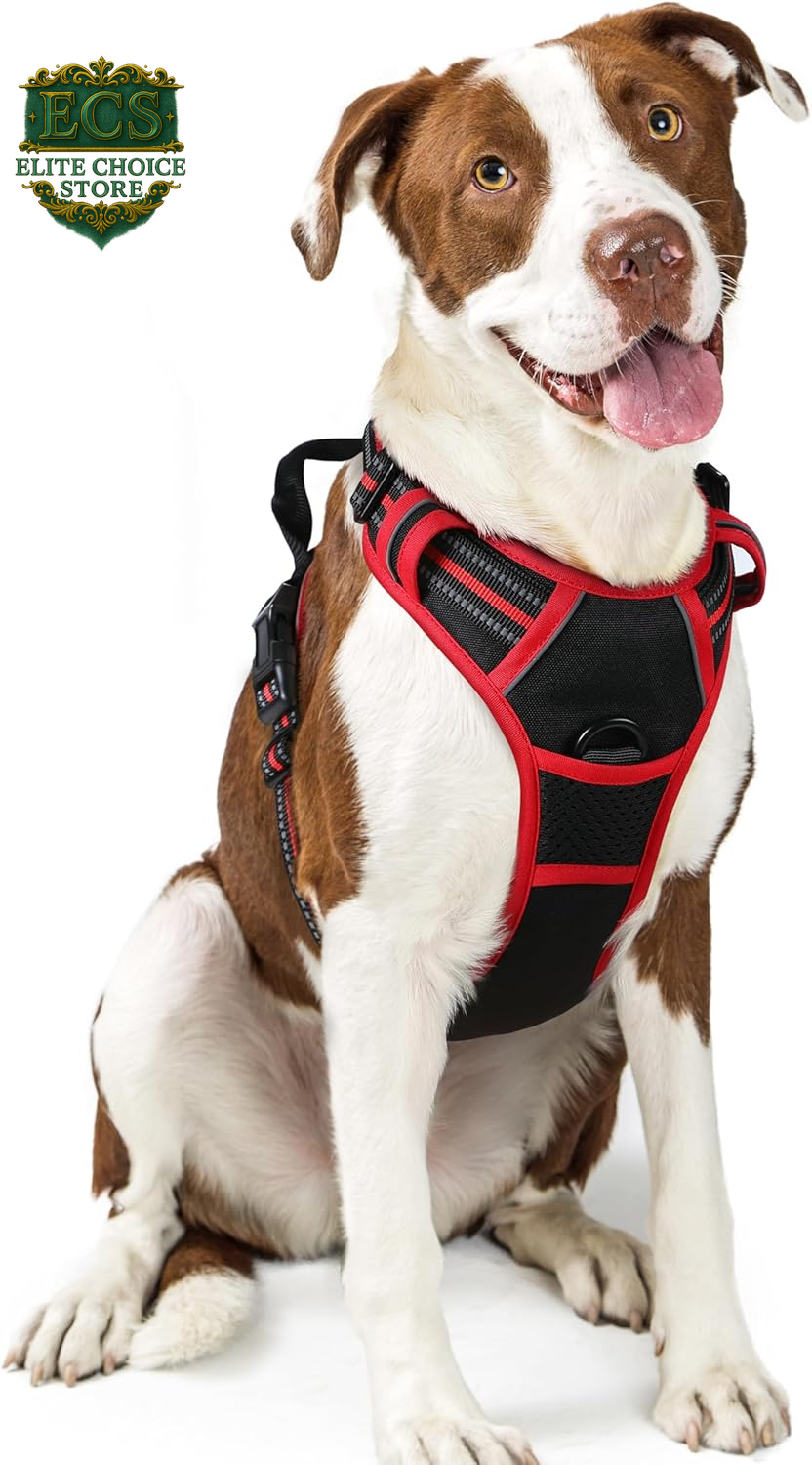 Rabbitgoo Dog Harness No Pull with 2 Leash Clips, Adjustable Soft Padded, Reflective Oxford No Choke Pet Vest with Easy Control Handle for Large Dogs, Black, L