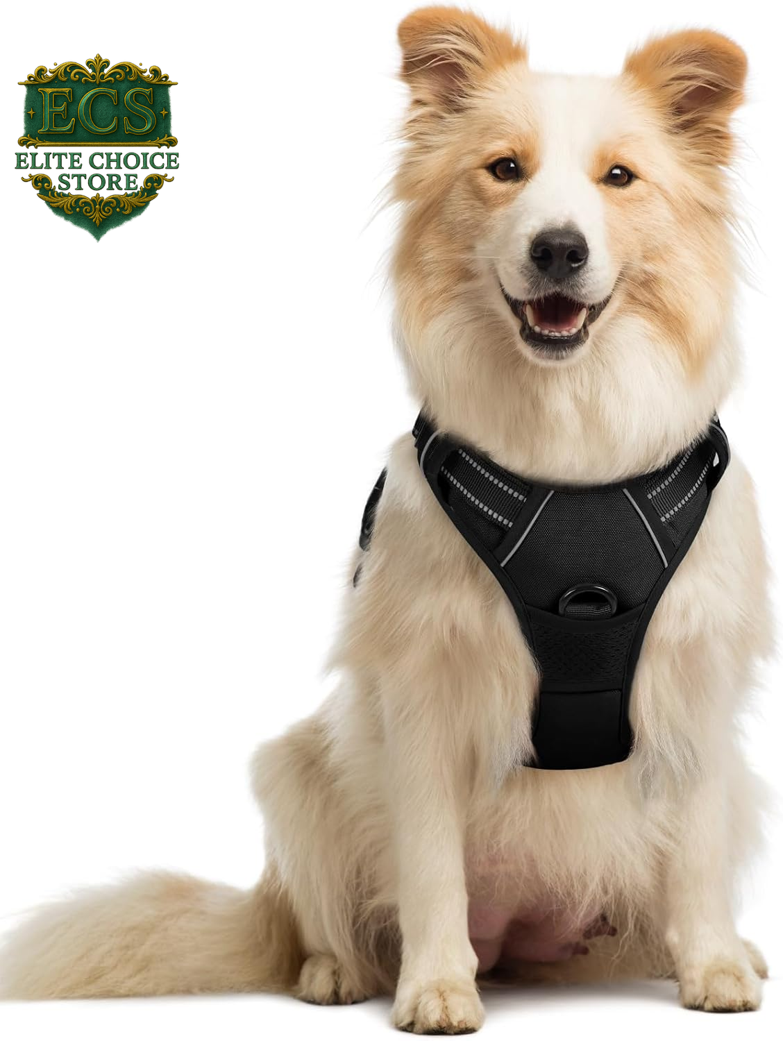 Rabbitgoo Dog Harness No Pull with 2 Leash Clips, Adjustable Soft Padded, Reflective Oxford No Choke Pet Vest with Easy Control Handle for Large Dogs, Black, L