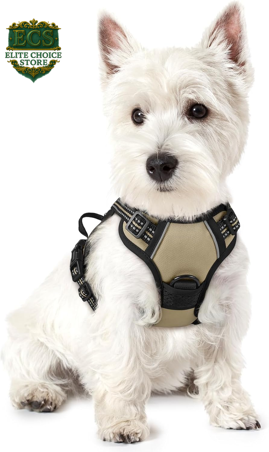 Rabbitgoo Dog Harness No Pull with 2 Leash Clips, Adjustable Soft Padded, Reflective Oxford No Choke Pet Vest with Easy Control Handle for Large Dogs, Black, L