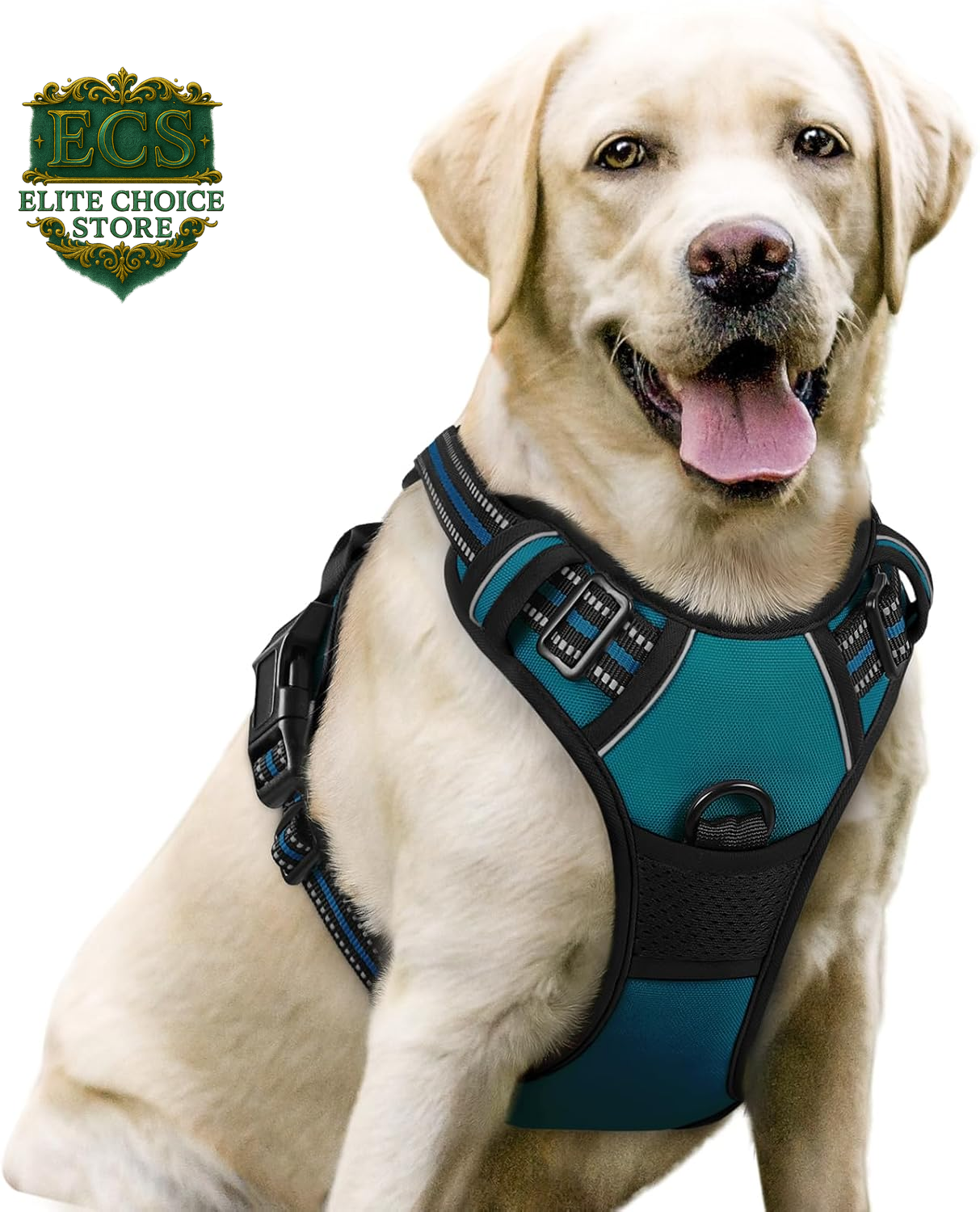 Rabbitgoo Dog Harness No Pull with 2 Leash Clips, Adjustable Soft Padded, Reflective Oxford No Choke Pet Vest with Easy Control Handle for Large Dogs, Black, L