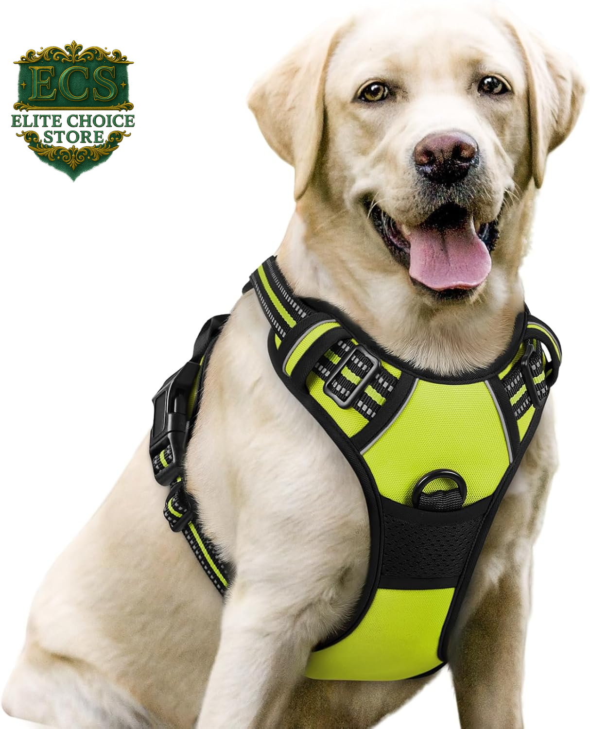 Rabbitgoo Dog Harness No Pull with 2 Leash Clips, Adjustable Soft Padded, Reflective Oxford No Choke Pet Vest with Easy Control Handle for Large Dogs, Black, L