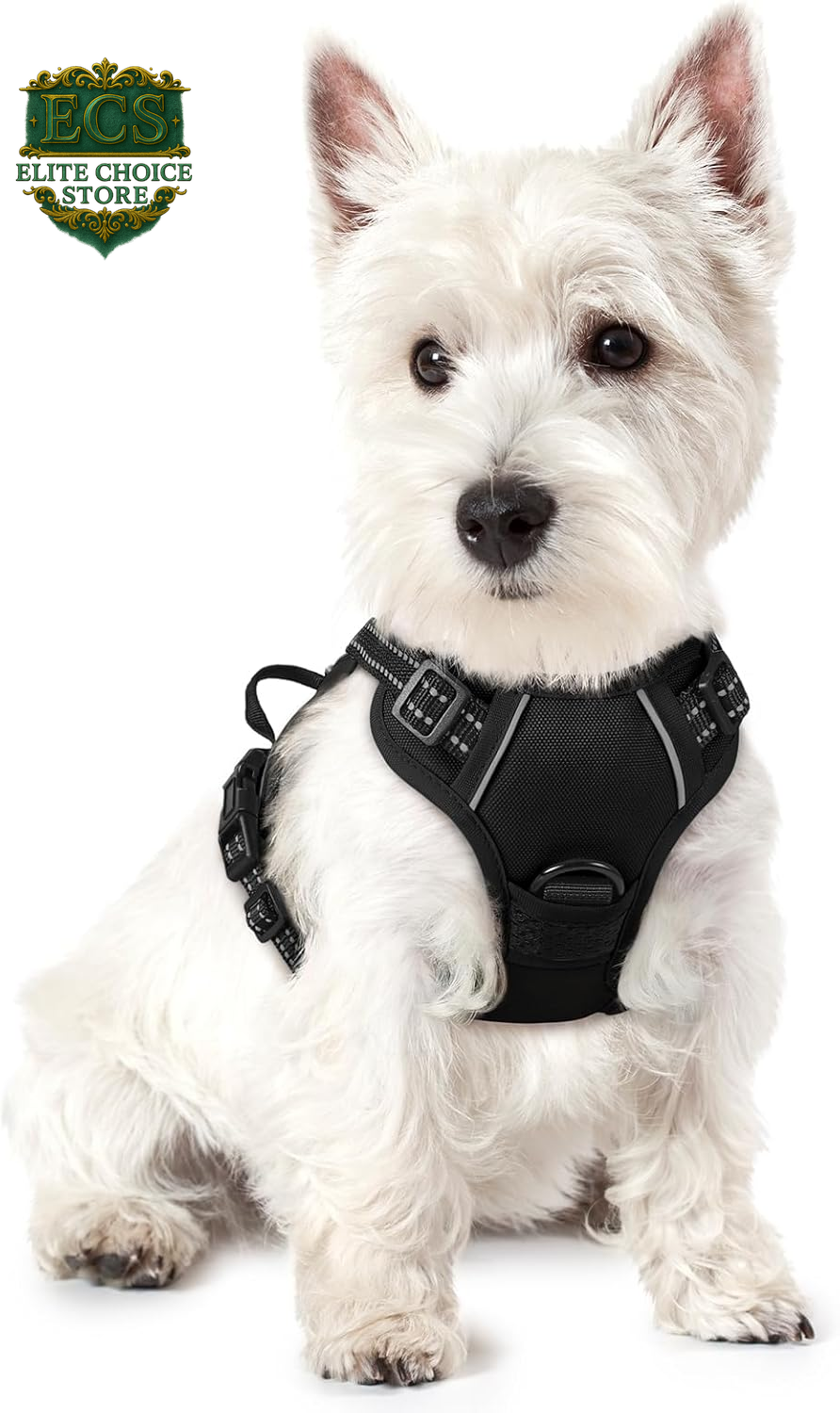 Rabbitgoo Dog Harness No Pull with 2 Leash Clips, Adjustable Soft Padded, Reflective Oxford No Choke Pet Vest with Easy Control Handle for Large Dogs, Black, L