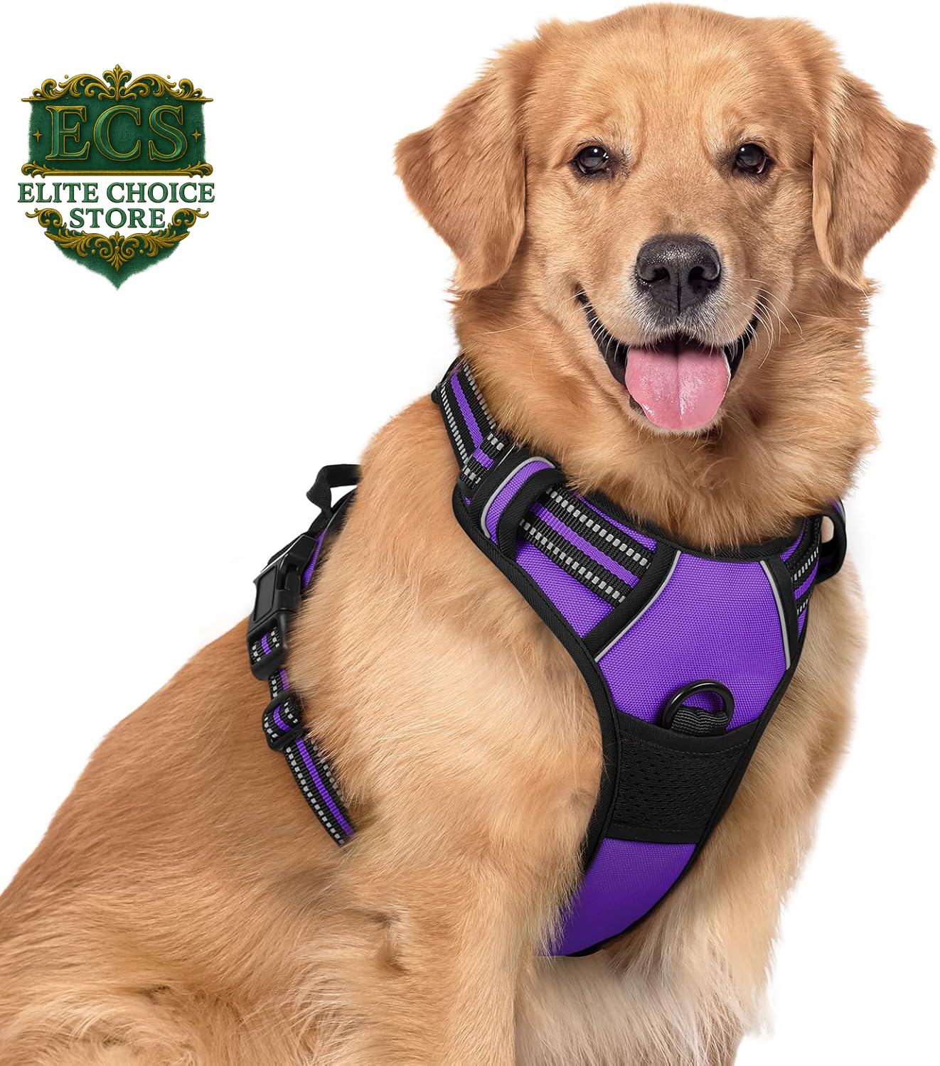 Rabbitgoo Dog Harness No Pull with 2 Leash Clips, Adjustable Soft Padded, Reflective Oxford No Choke Pet Vest with Easy Control Handle for Large Dogs, Black, L