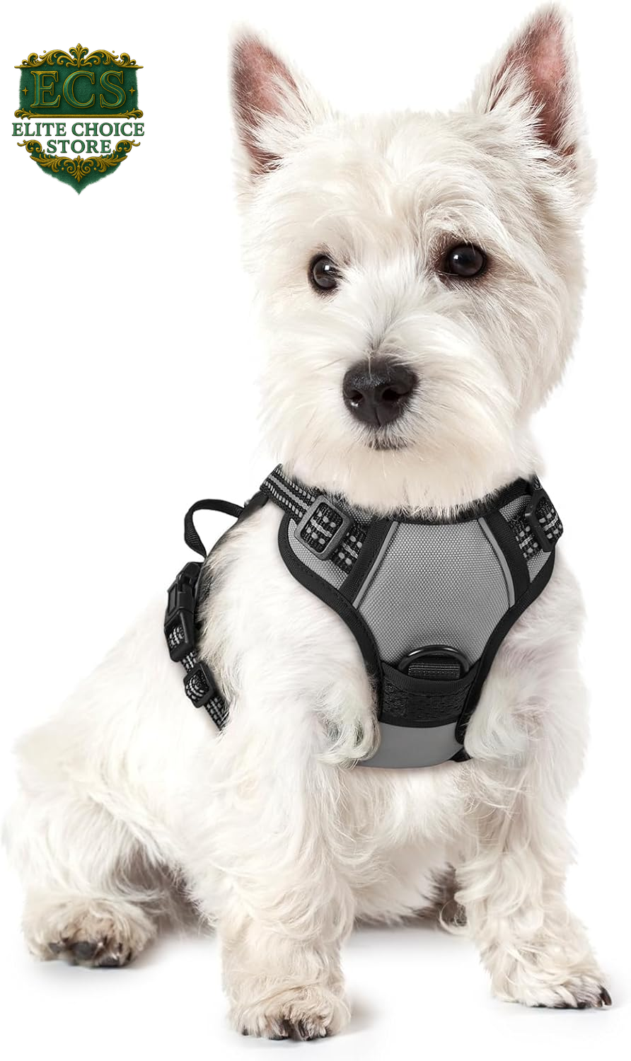 Rabbitgoo Dog Harness No Pull with 2 Leash Clips, Adjustable Soft Padded, Reflective Oxford No Choke Pet Vest with Easy Control Handle for Large Dogs, Black, L