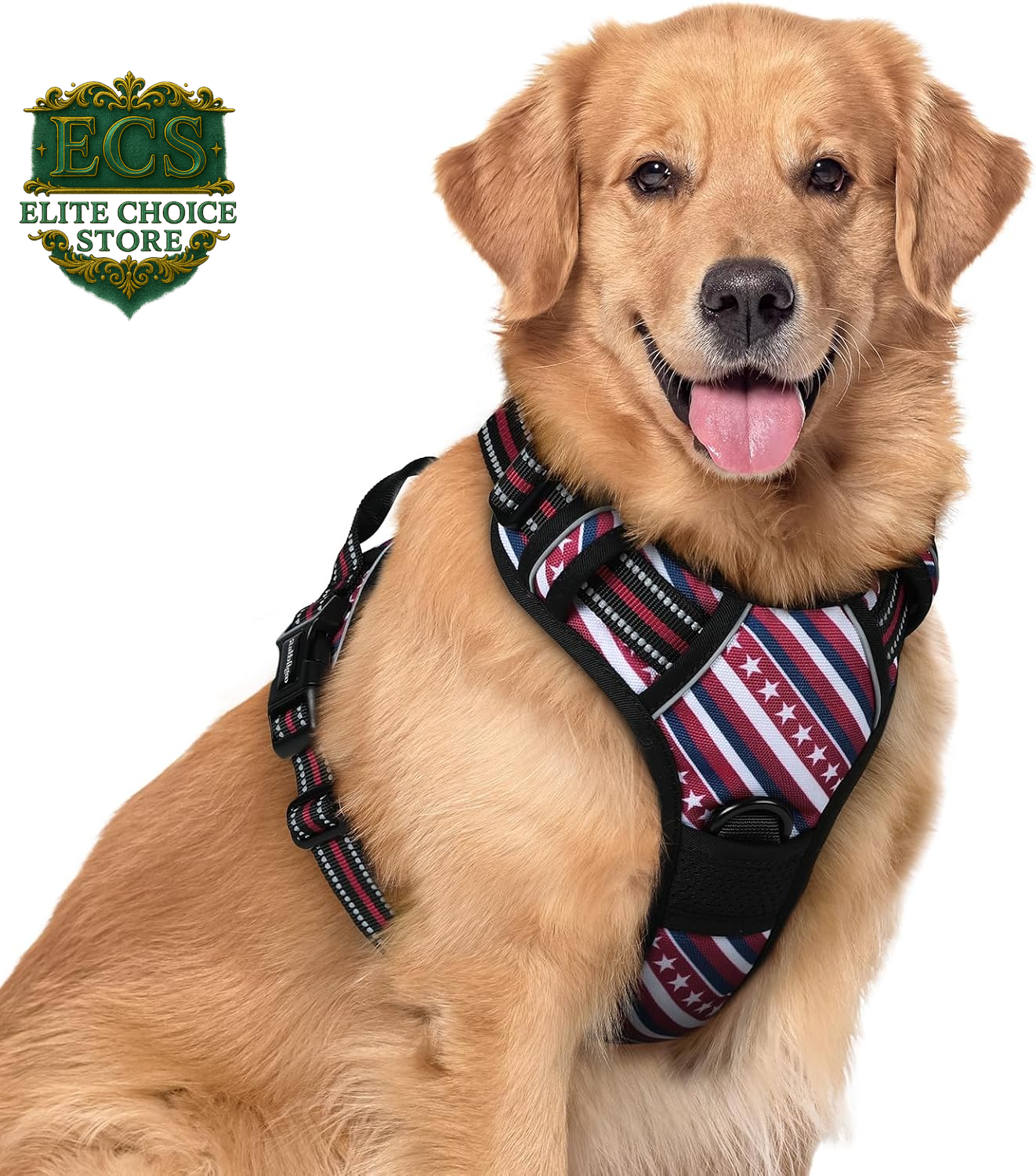 Rabbitgoo Dog Harness No Pull with 2 Leash Clips, Adjustable Soft Padded, Reflective Oxford No Choke Pet Vest with Easy Control Handle for Large Dogs, Black, L