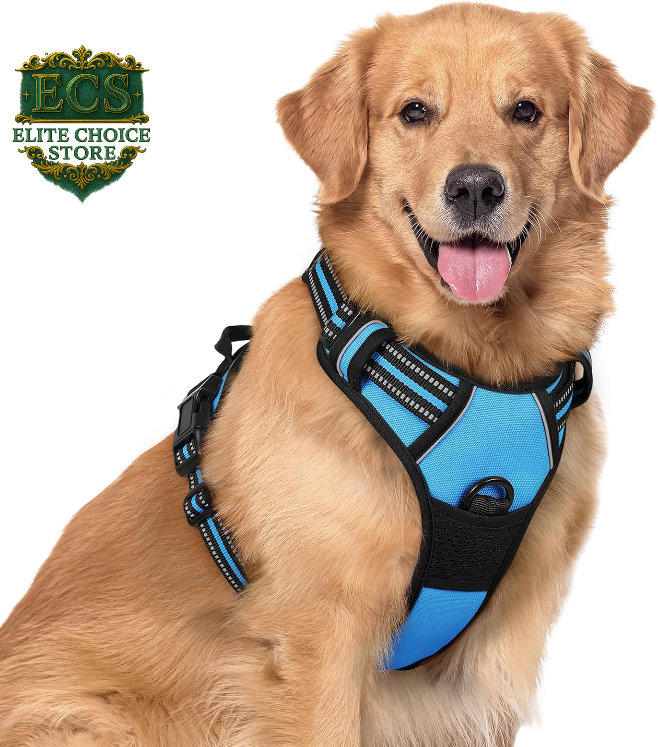 Rabbitgoo Dog Harness No Pull with 2 Leash Clips, Adjustable Soft Padded, Reflective Oxford No Choke Pet Vest with Easy Control Handle for Large Dogs, Black, L