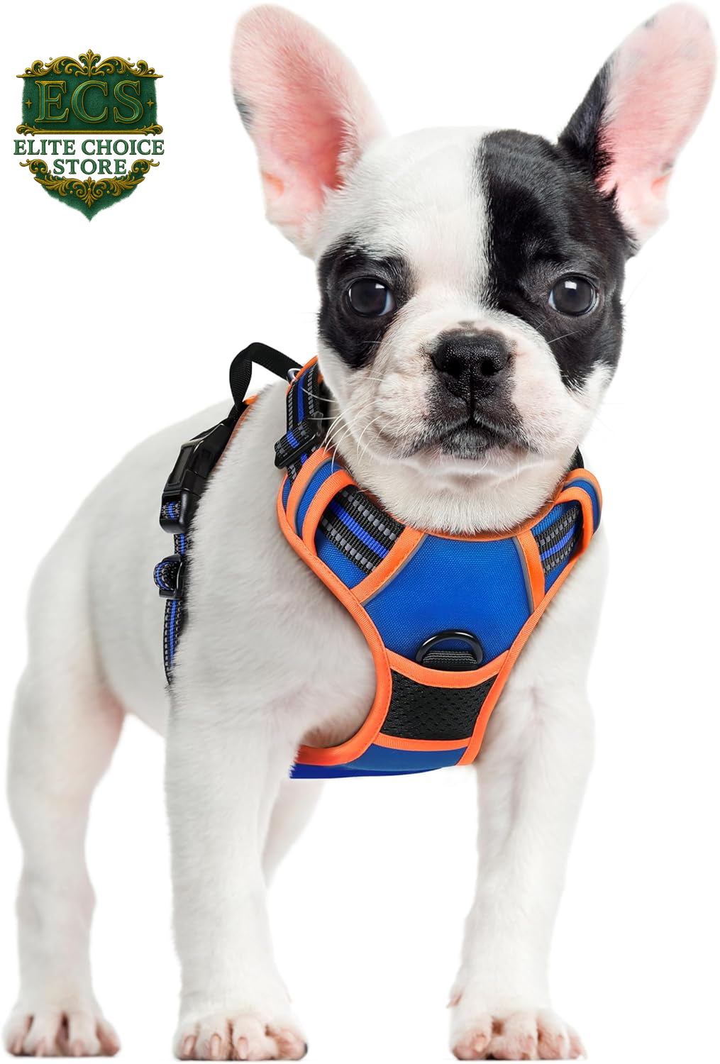 Rabbitgoo Dog Harness No Pull with 2 Leash Clips, Adjustable Soft Padded, Reflective Oxford No Choke Pet Vest with Easy Control Handle for Large Dogs, Black, L