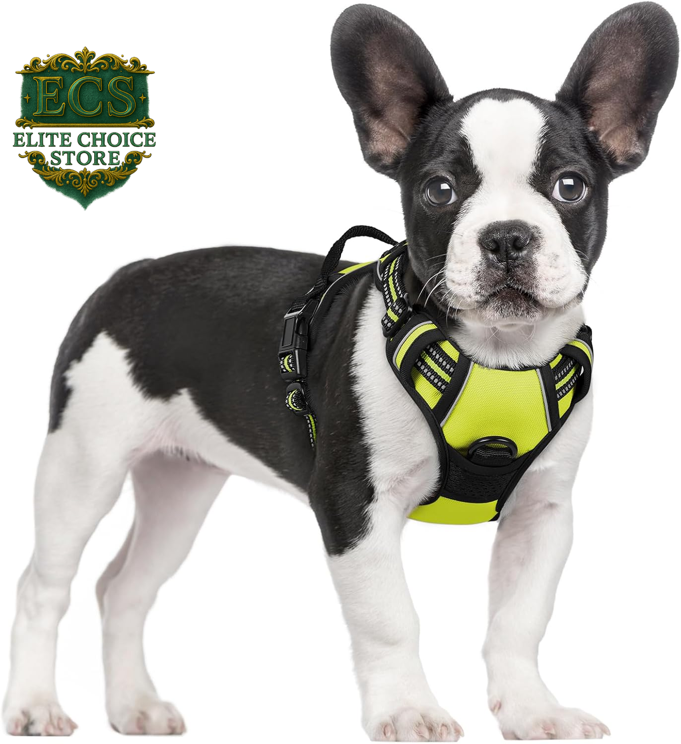 Rabbitgoo Dog Harness No Pull with 2 Leash Clips, Adjustable Soft Padded, Reflective Oxford No Choke Pet Vest with Easy Control Handle for Large Dogs, Black, L