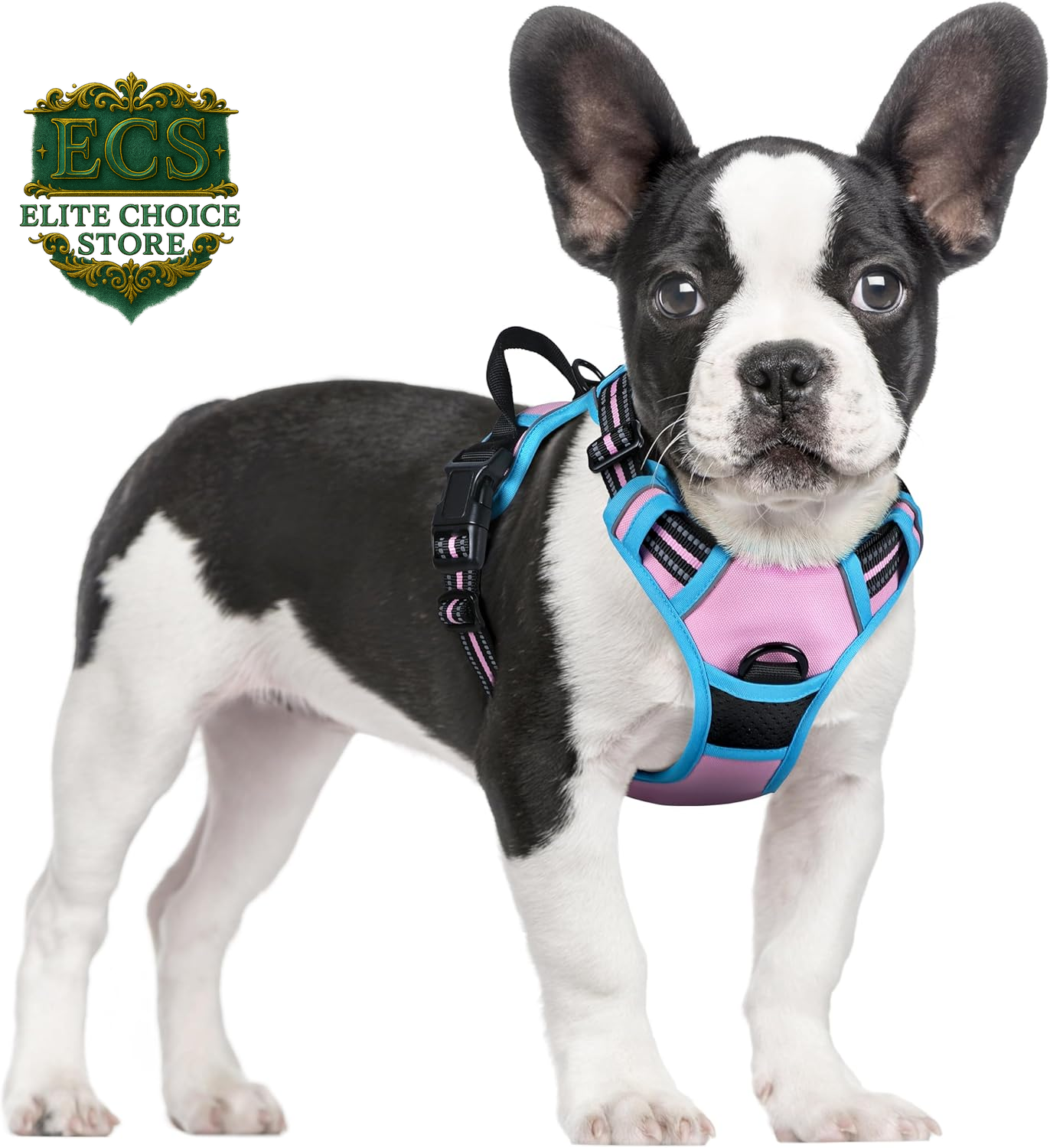 Rabbitgoo Dog Harness No Pull with 2 Leash Clips, Adjustable Soft Padded, Reflective Oxford No Choke Pet Vest with Easy Control Handle for Large Dogs, Black, L