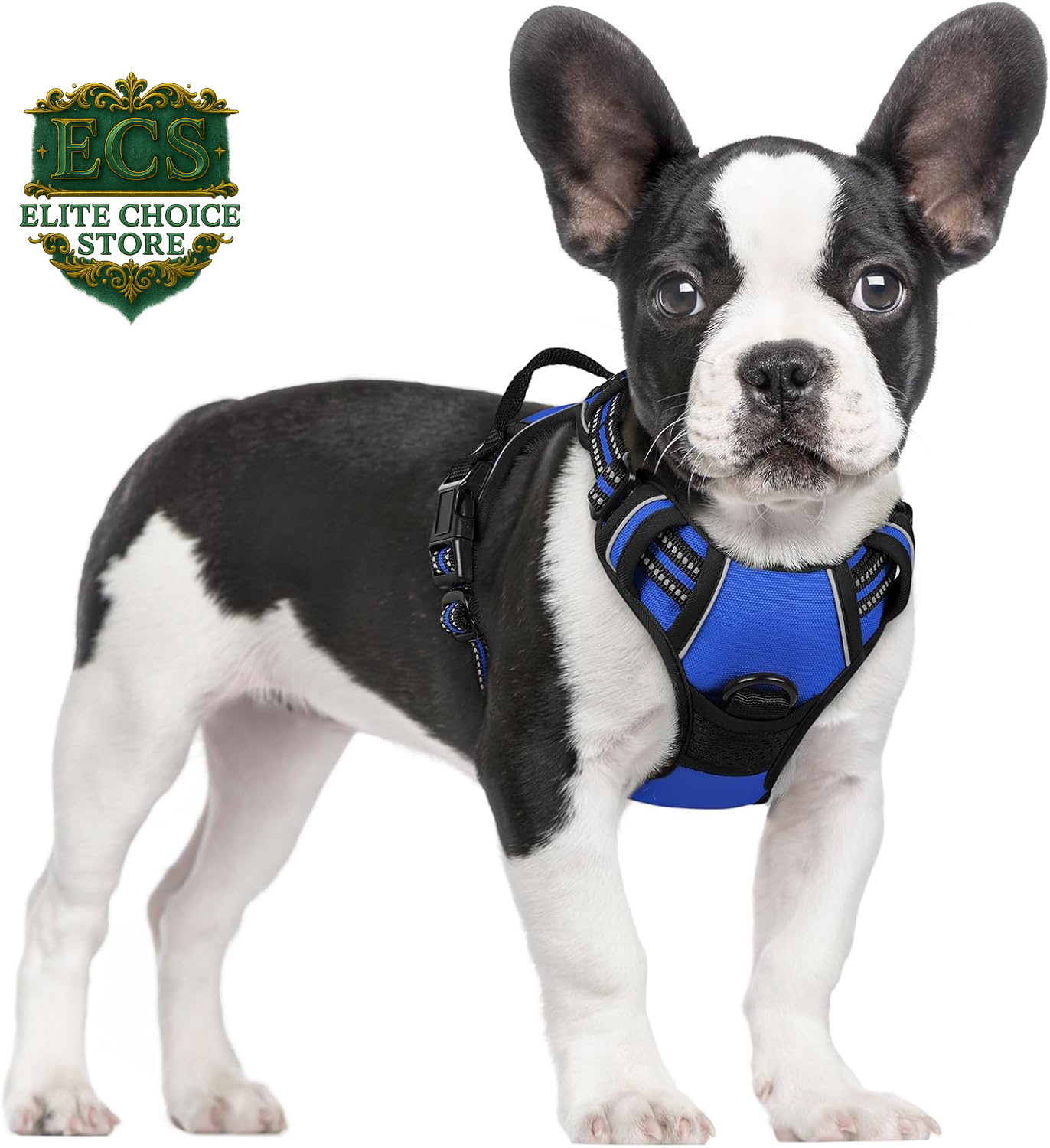 Rabbitgoo Dog Harness No Pull with 2 Leash Clips, Adjustable Soft Padded, Reflective Oxford No Choke Pet Vest with Easy Control Handle for Large Dogs, Black, L