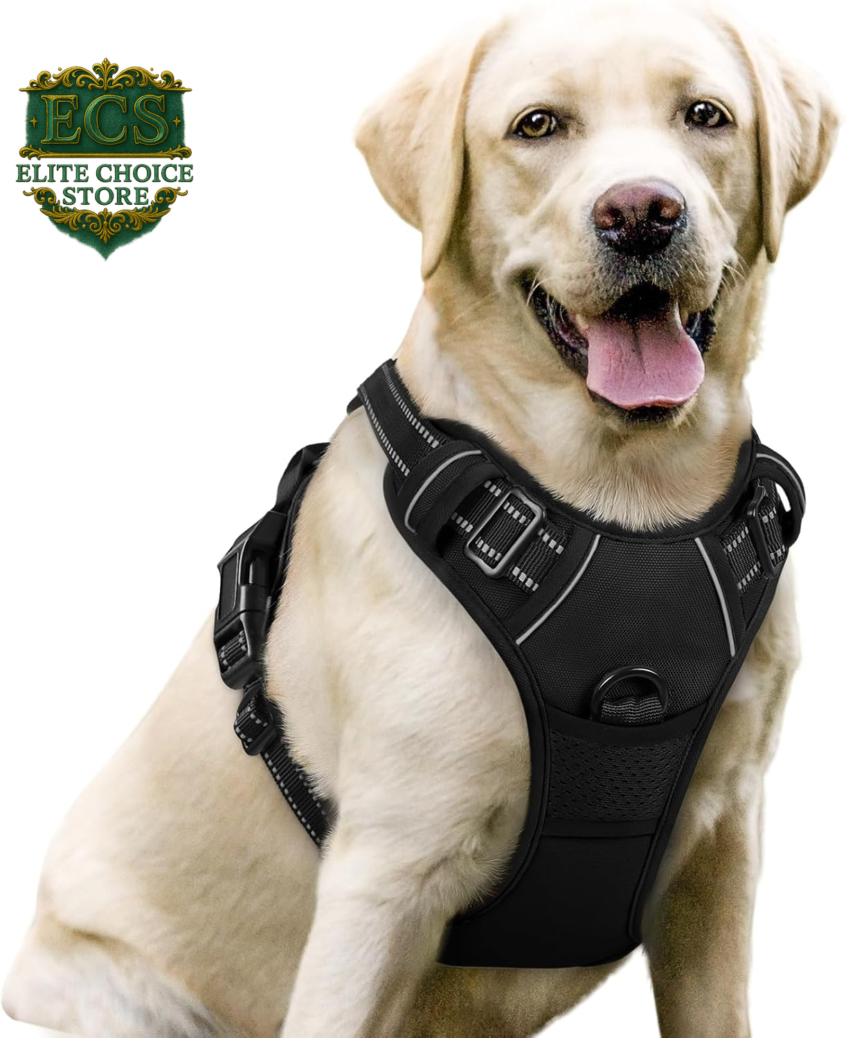 Rabbitgoo Dog Harness No Pull with 2 Leash Clips, Adjustable Soft Padded, Reflective Oxford No Choke Pet Vest with Easy Control Handle for Large Dogs, Black, L