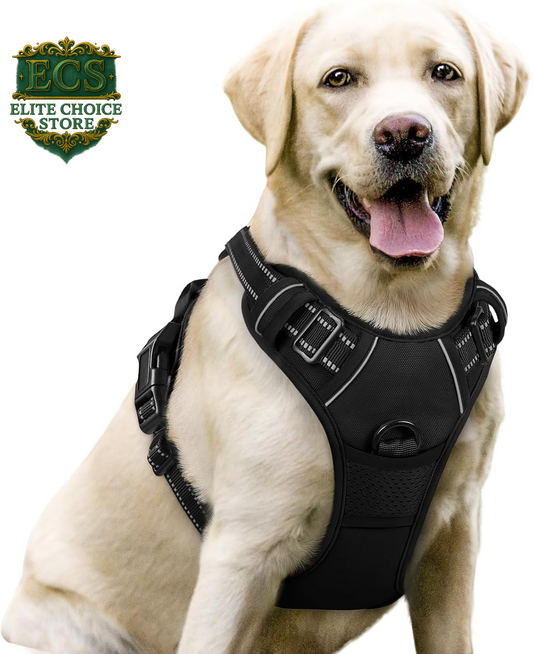 Rabbitgoo Dog Harness No Pull with 2 Leash Clips, Adjustable Soft Padded, Reflective Oxford No Choke Pet Vest with Easy Control Handle for Large Dogs, Black, L