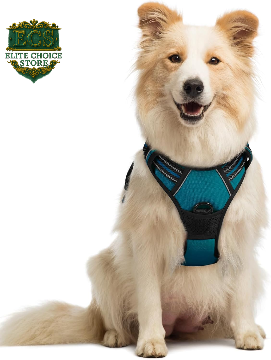 Rabbitgoo Dog Harness No Pull with 2 Leash Clips, Adjustable Soft Padded, Reflective Oxford No Choke Pet Vest with Easy Control Handle for Large Dogs, Black, L