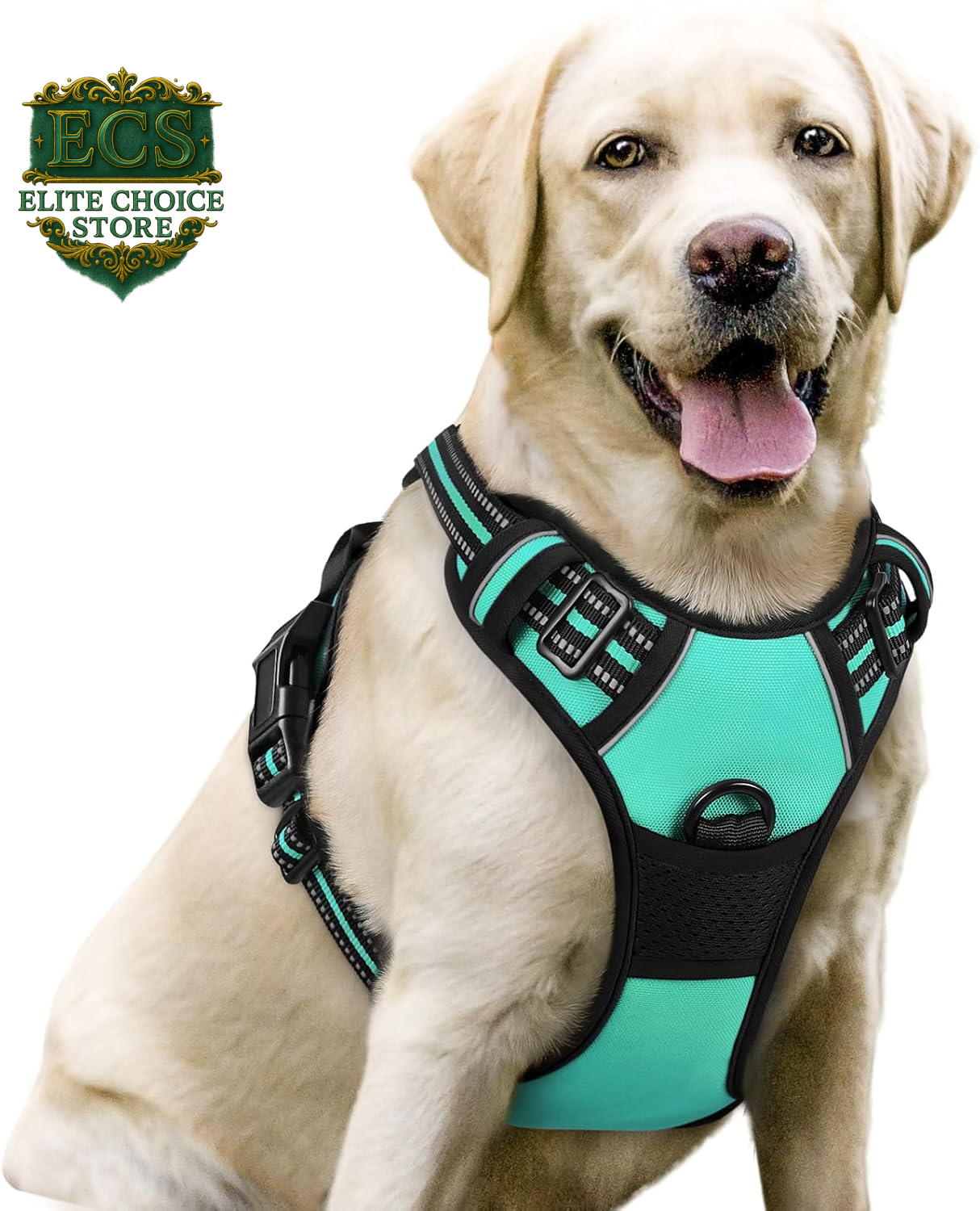 Rabbitgoo Dog Harness No Pull with 2 Leash Clips, Adjustable Soft Padded, Reflective Oxford No Choke Pet Vest with Easy Control Handle for Large Dogs, Black, L