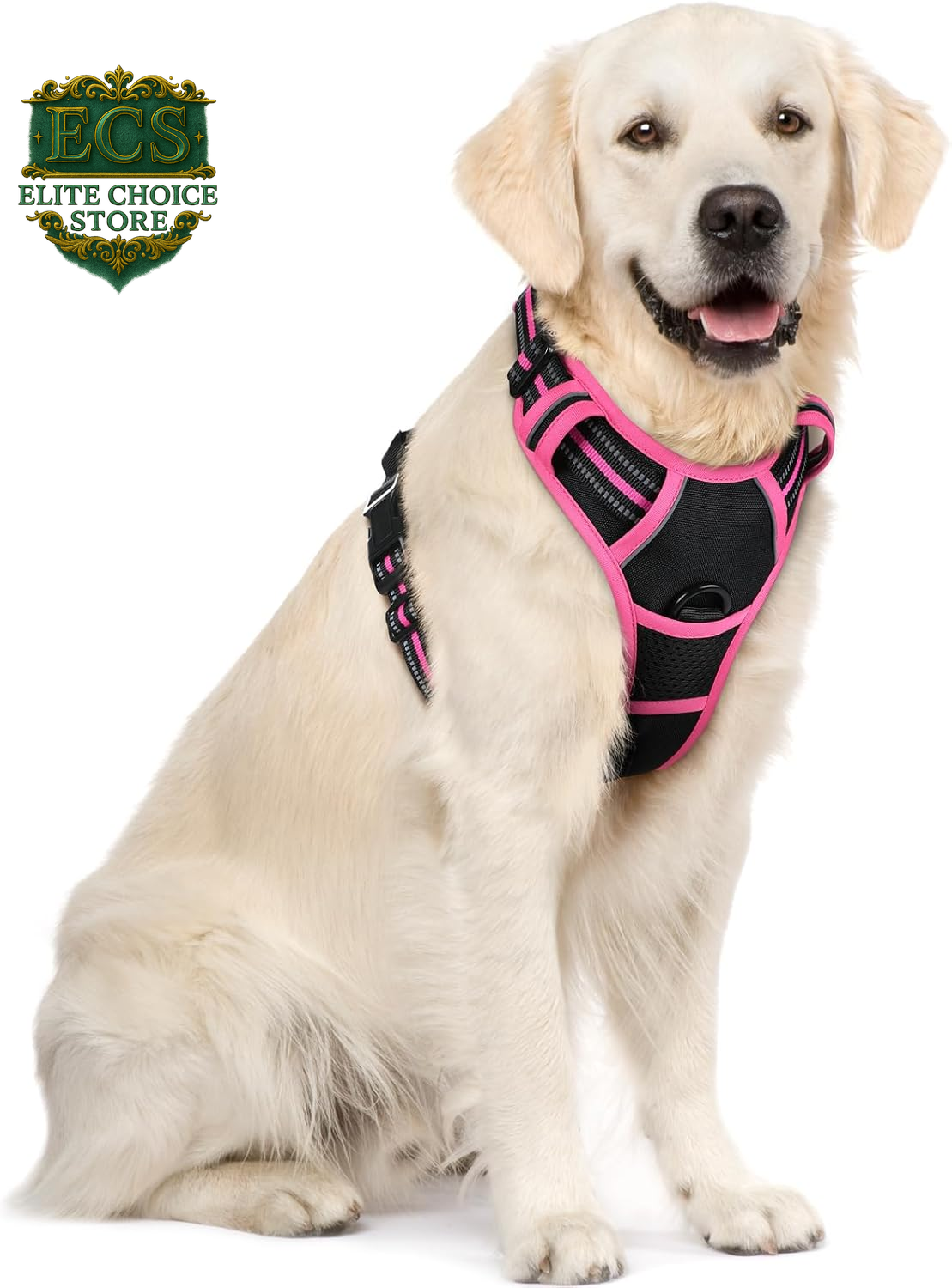 Rabbitgoo Dog Harness No Pull with 2 Leash Clips, Adjustable Soft Padded, Reflective Oxford No Choke Pet Vest with Easy Control Handle for Large Dogs, Black, L