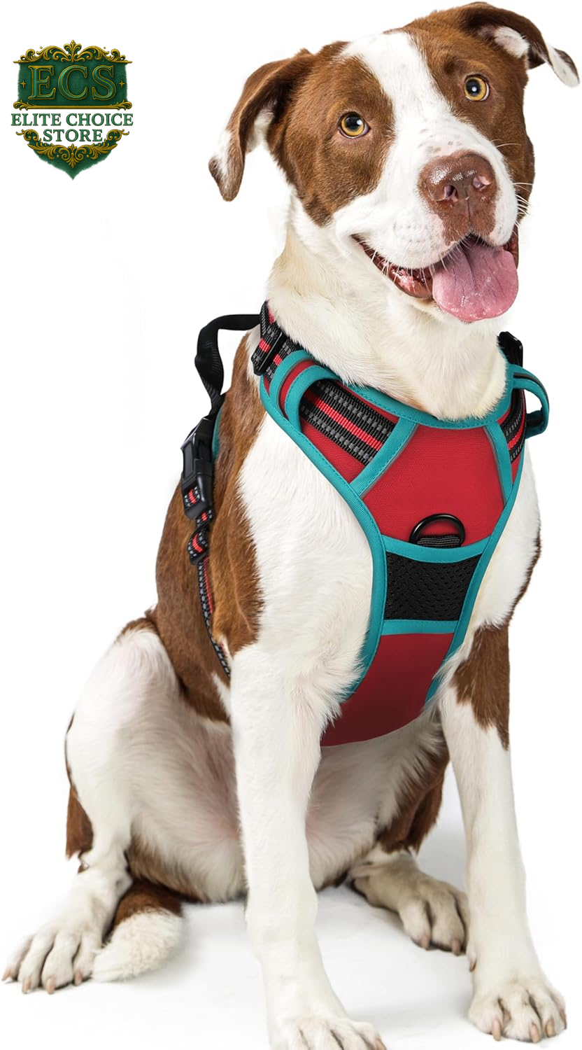 Rabbitgoo Dog Harness No Pull with 2 Leash Clips, Adjustable Soft Padded, Reflective Oxford No Choke Pet Vest with Easy Control Handle for Large Dogs, Black, L