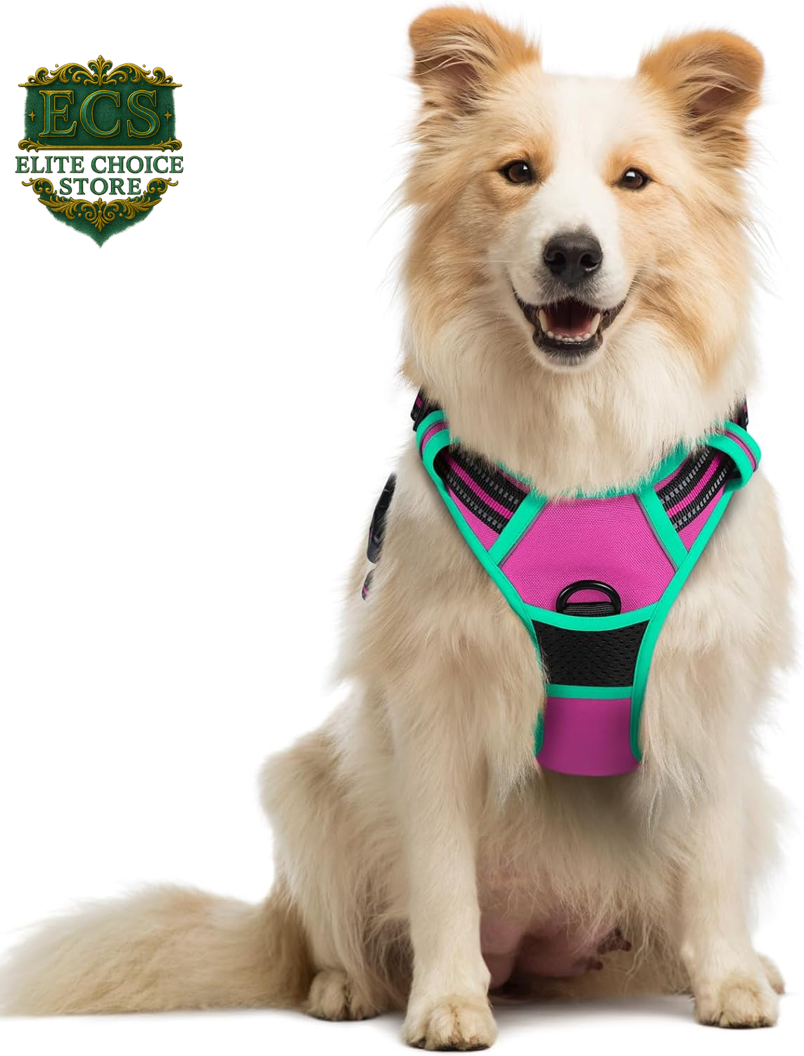 Rabbitgoo Dog Harness No Pull with 2 Leash Clips, Adjustable Soft Padded, Reflective Oxford No Choke Pet Vest with Easy Control Handle for Large Dogs, Black, L