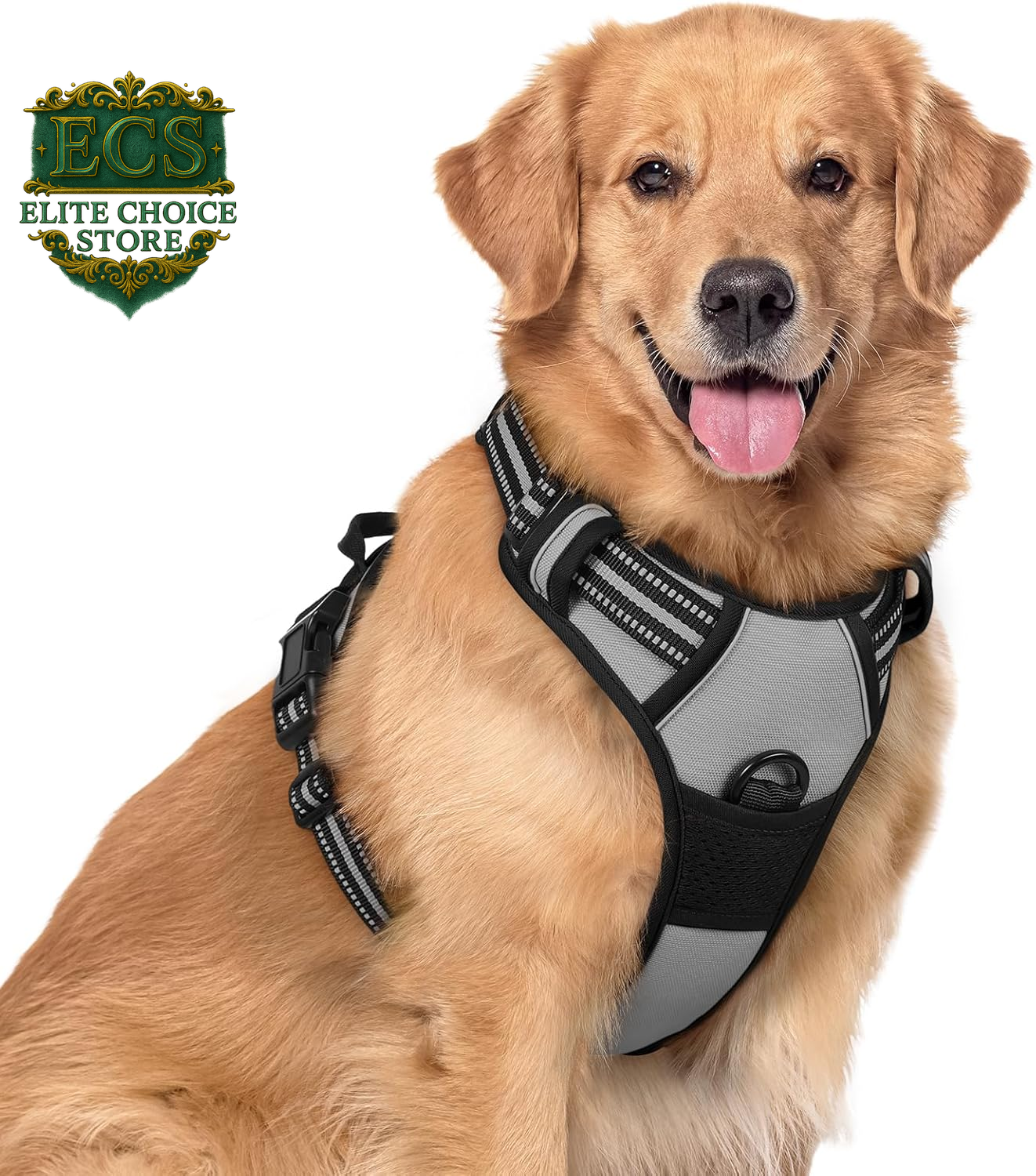 Rabbitgoo Dog Harness No Pull with 2 Leash Clips, Adjustable Soft Padded, Reflective Oxford No Choke Pet Vest with Easy Control Handle for Large Dogs, Black, L