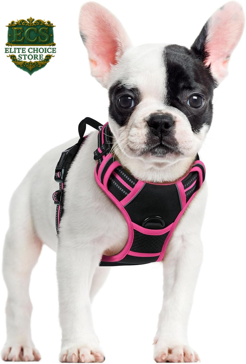 Rabbitgoo Dog Harness No Pull with 2 Leash Clips, Adjustable Soft Padded, Reflective Oxford No Choke Pet Vest with Easy Control Handle for Large Dogs, Black, L