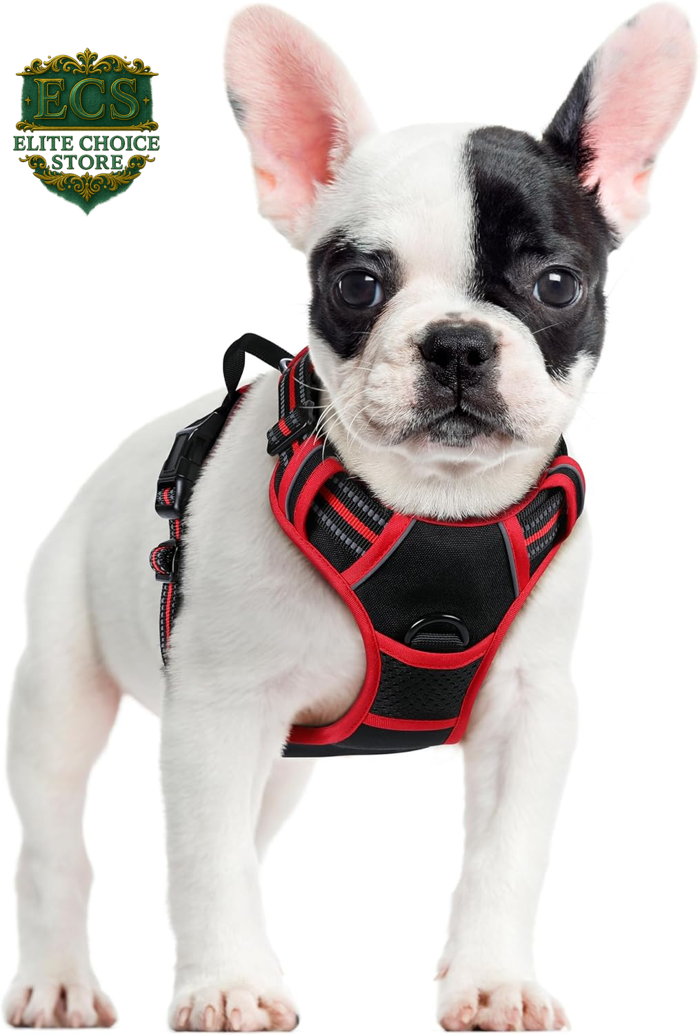 Rabbitgoo Dog Harness No Pull with 2 Leash Clips, Adjustable Soft Padded, Reflective Oxford No Choke Pet Vest with Easy Control Handle for Large Dogs, Black, L