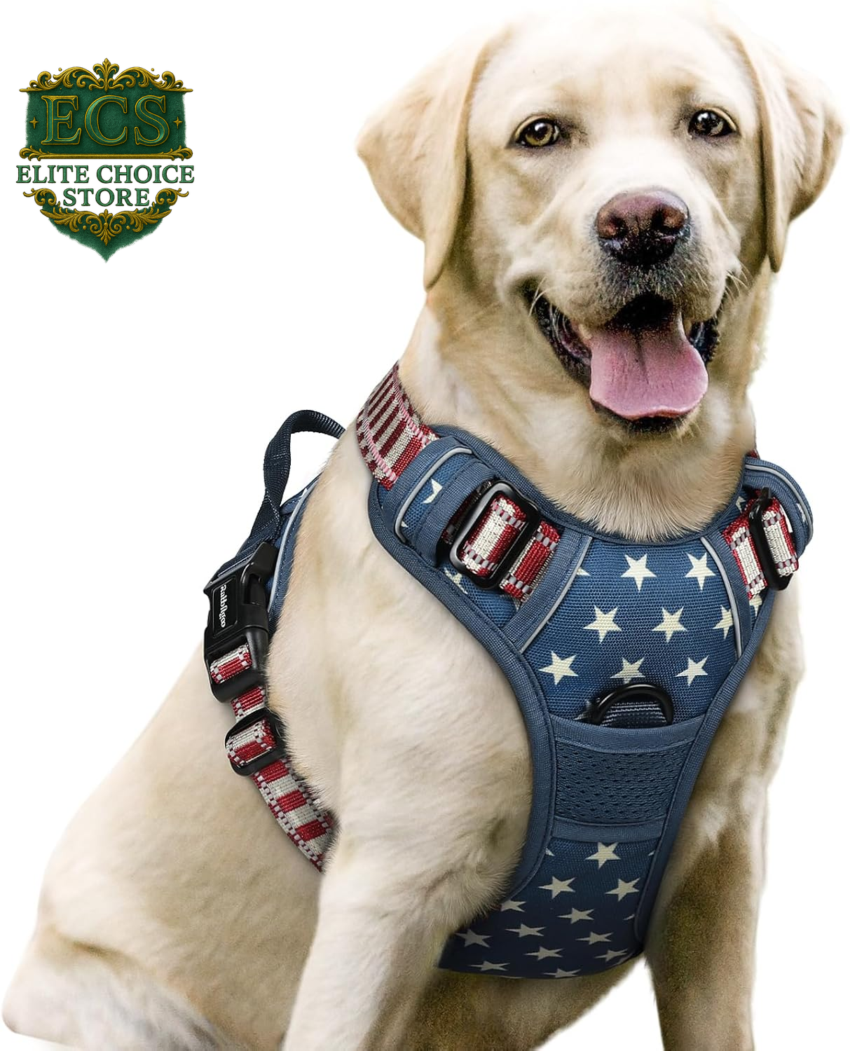 Rabbitgoo Dog Harness No Pull with 2 Leash Clips, Adjustable Soft Padded, Reflective Oxford No Choke Pet Vest with Easy Control Handle for Large Dogs, Black, L