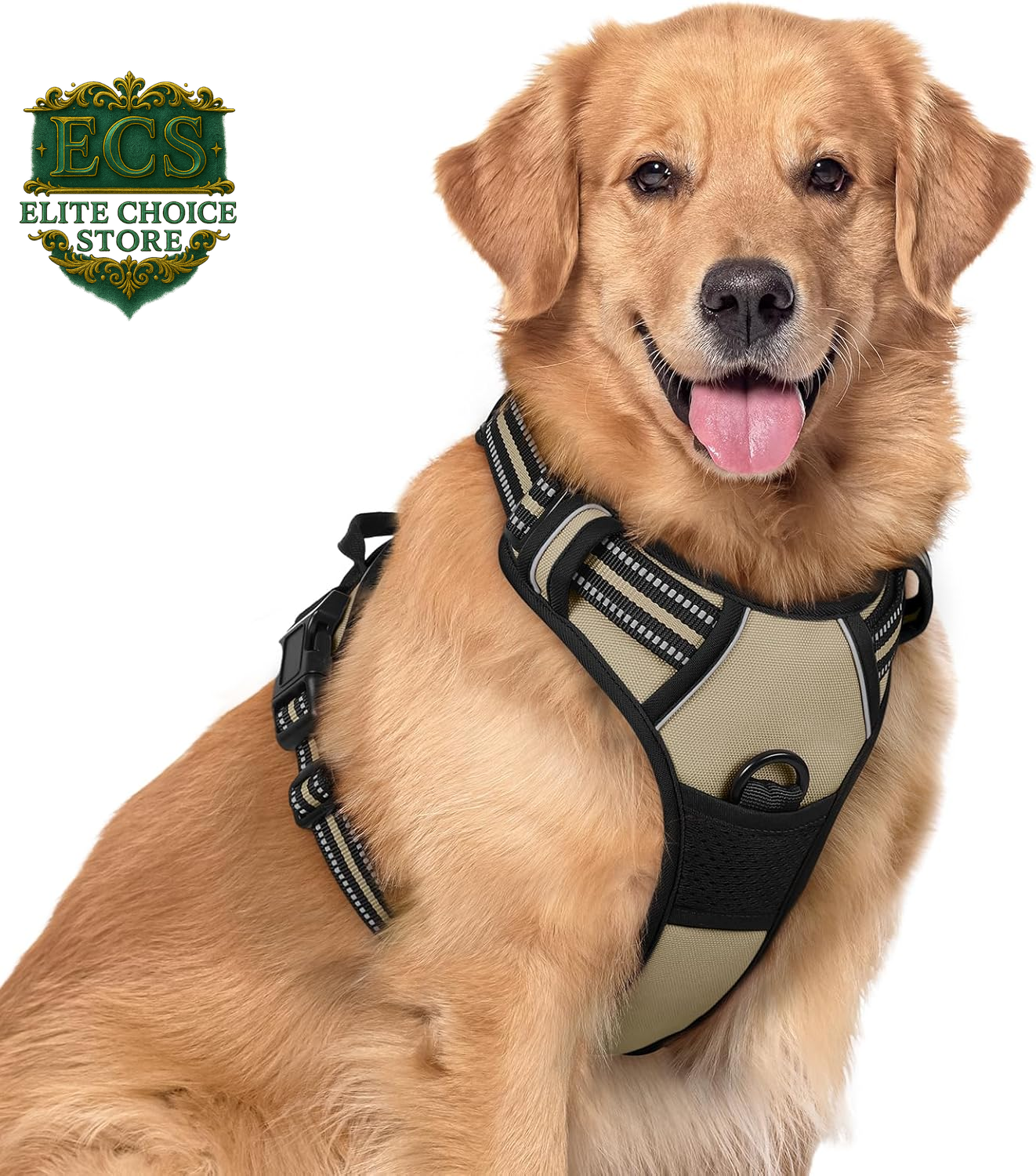 Rabbitgoo Dog Harness No Pull with 2 Leash Clips, Adjustable Soft Padded, Reflective Oxford No Choke Pet Vest with Easy Control Handle for Large Dogs, Black, L