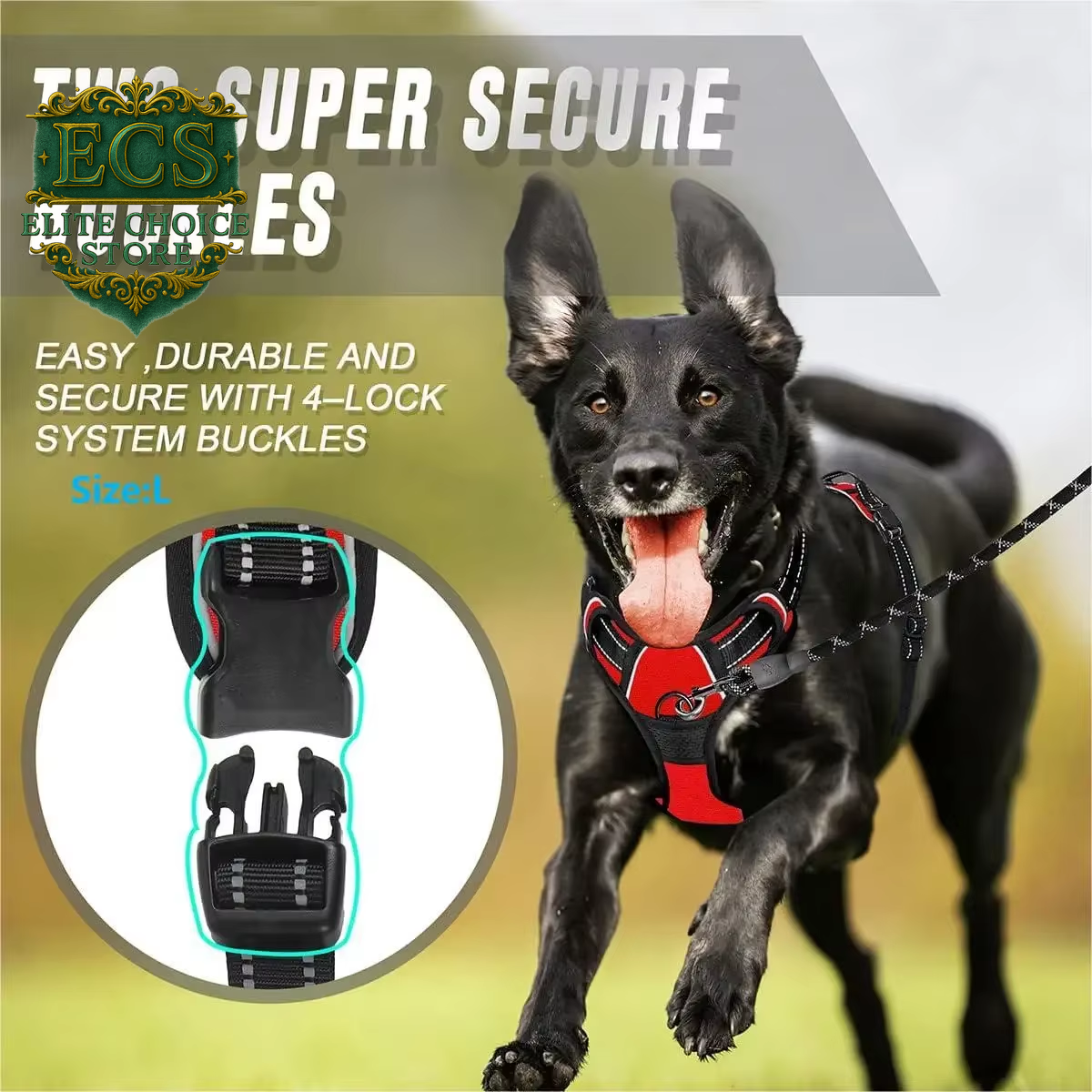 Rabbitgoo No-Pull Dog Harness – Large Dog Vest with 2 Leash Clips, No-Choke Design & Easy Control Handle 