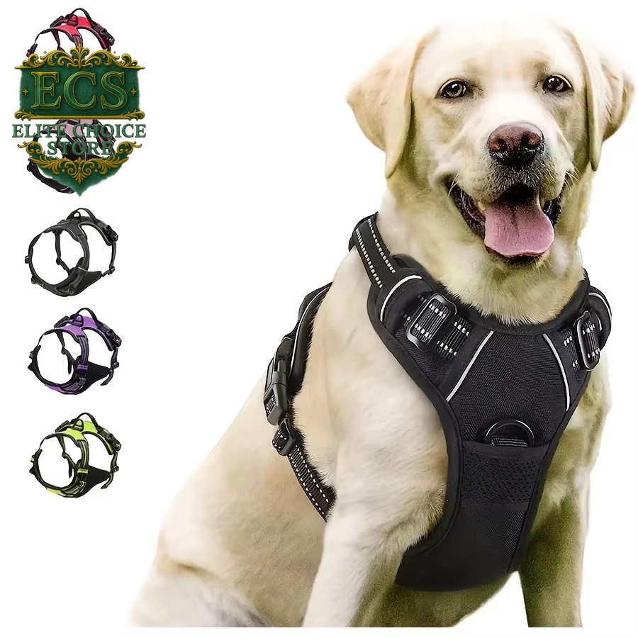 Rabbitgoo No-Pull Dog Harness – Large Dog Vest with 2 Leash Clips, No-Choke Design & Easy Control Handle 